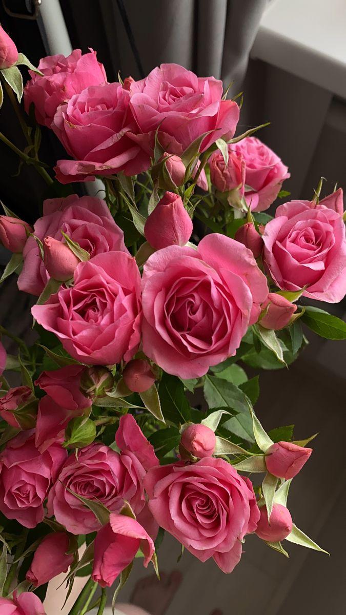 Solarino Vate workshop space where corporate flower arrangements are designed and prepared for business delivery